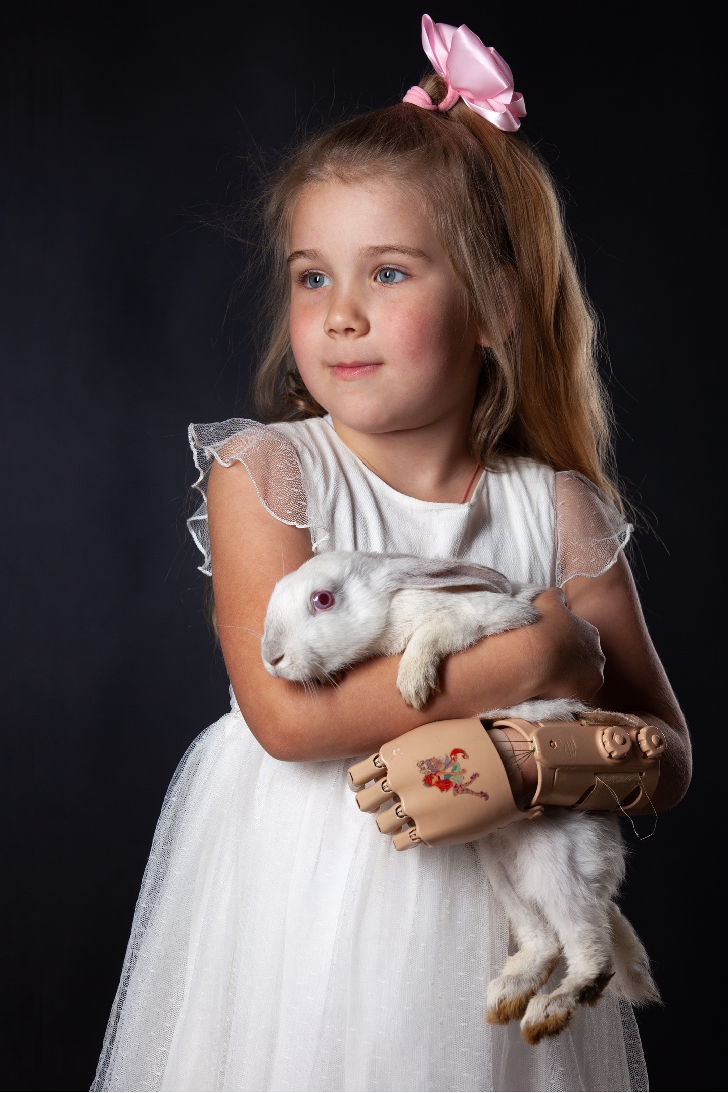 Киби-испытатель, коллекционер и просто красавица